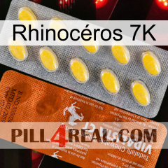 Rhinocéros 7K 42